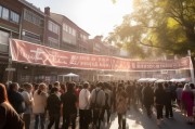 补贴申请公示，透明阳光下的民生保障与规范管理之路