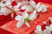 茉莉花红包，你了解吗？