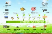 合作社补贴申请全攻略，从资格认定到资金到账的实用指南