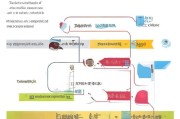高校疫情补贴申请全攻略，政策解读、流程指引与注意事项